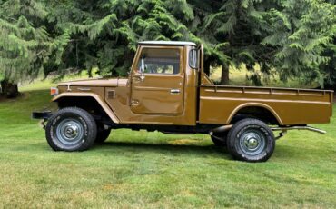 Toyota-landcruiser-1976-brown-1
