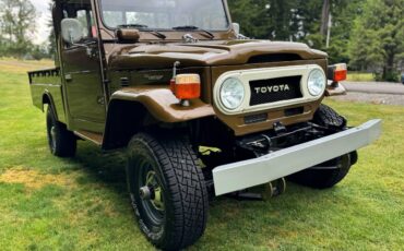 Toyota-landcruiser-1976-brown-3