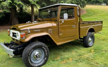 Toyota-landcruiser-1976-brown