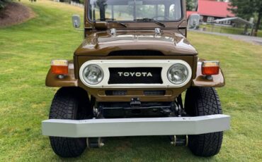 Toyota-landcruiser-1976-brown-4