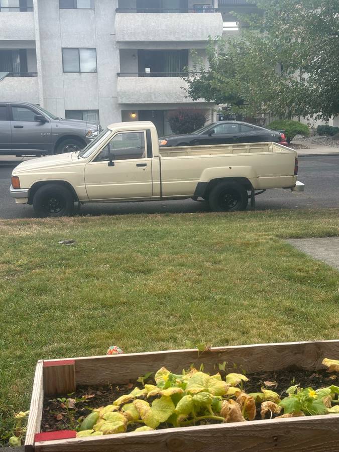 Toyota-pickup-1984-4