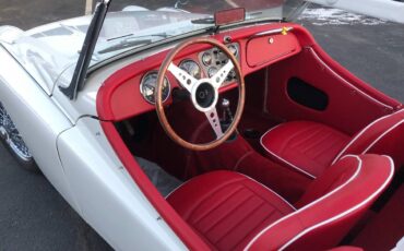 Tr3b-1962-white-4