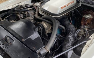 Trans-am-1979-white-10