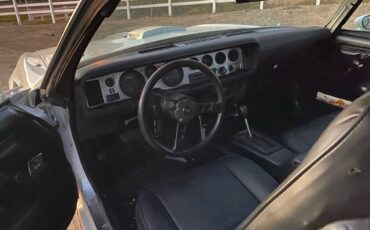 Trans-am-1979-white-12