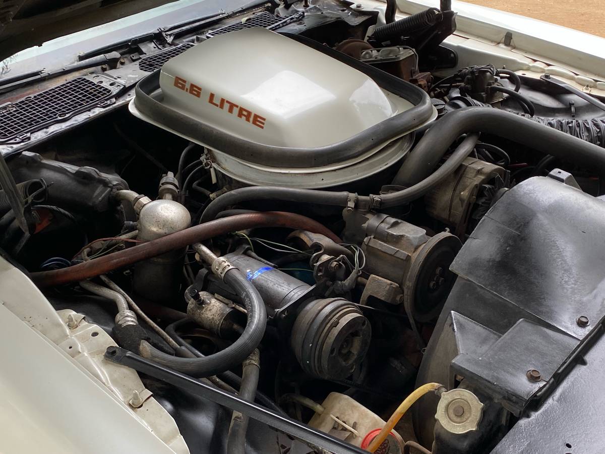 Trans-am-1979-white-15