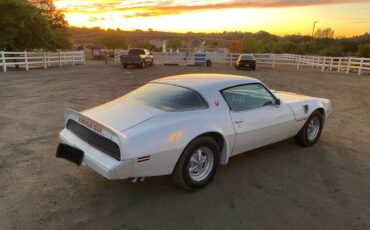 Trans-am-1979-white-4