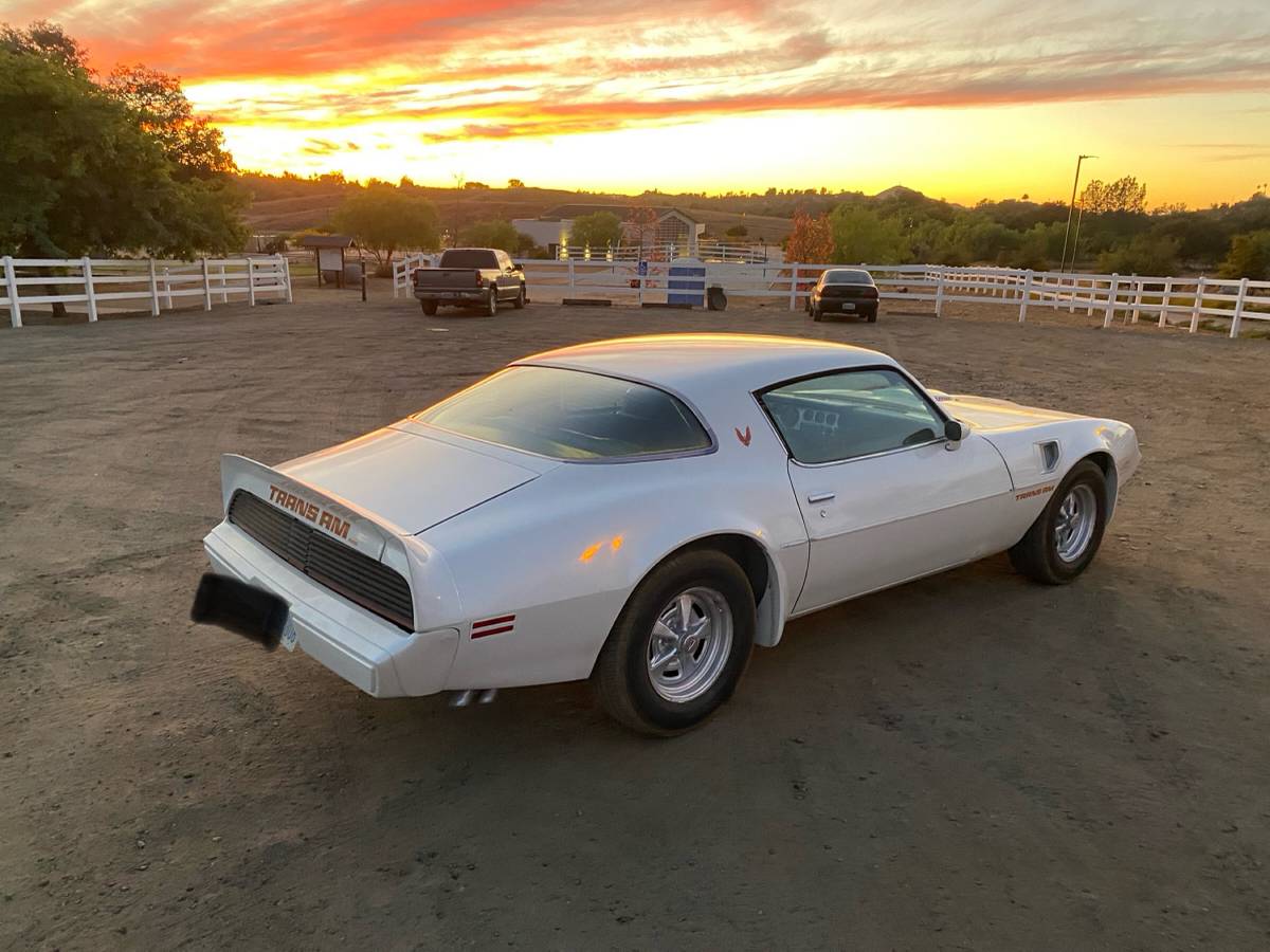 Trans-am-1979-white-4