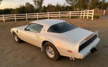 Trans-am-1979-white-5