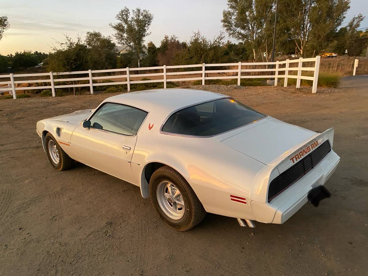Trans-am-1979-white-5