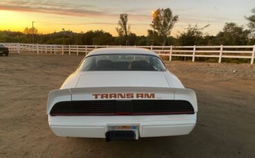 Trans-am-1979-white-6
