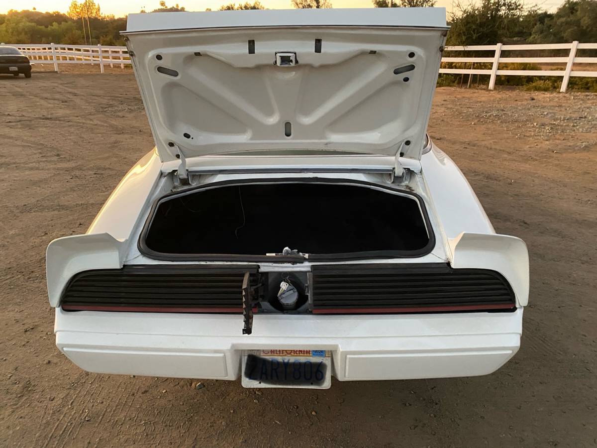 Trans-am-1979-white-7