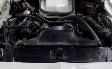Trans-am-1979-white-9