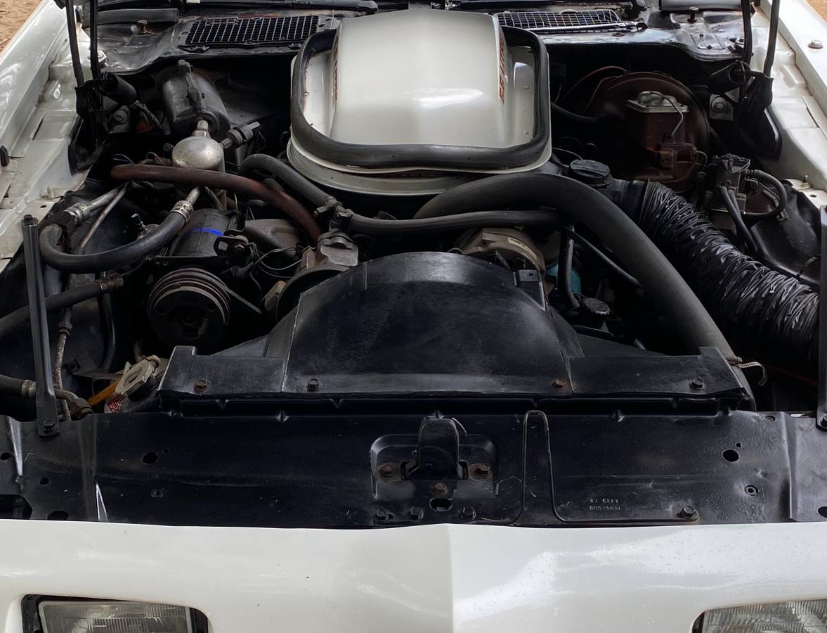 Trans-am-1979-white-9