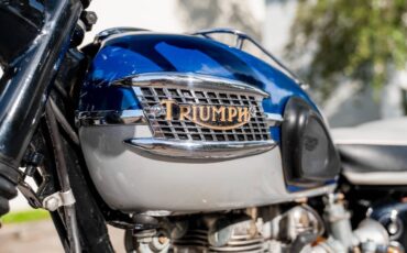 Triumph-T120R-1965-Motorcycles-Scooters-29