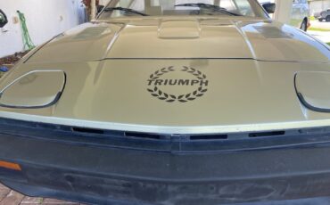 Triumph-TR-7-1979-4