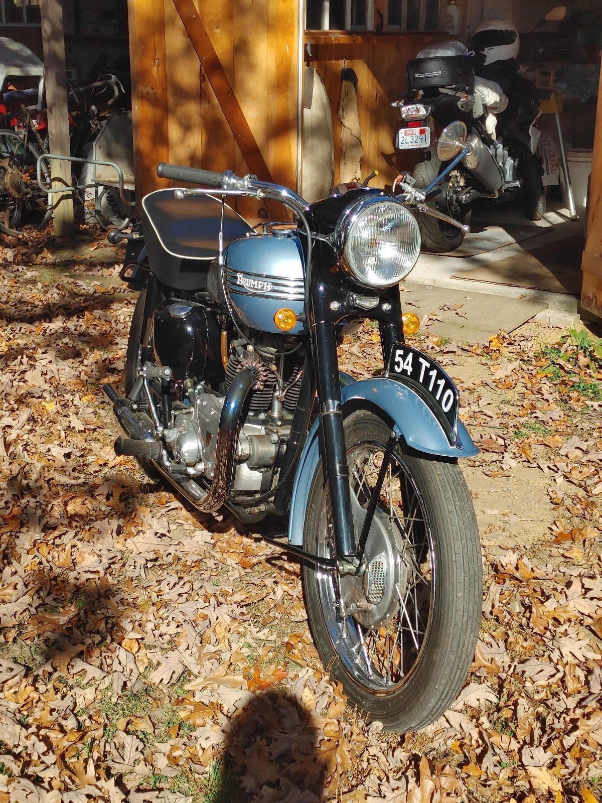 Triumph-Tiger-1954-1
