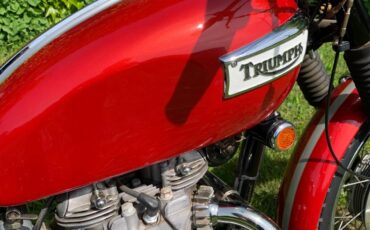 Triumph-Tiger-1969-1