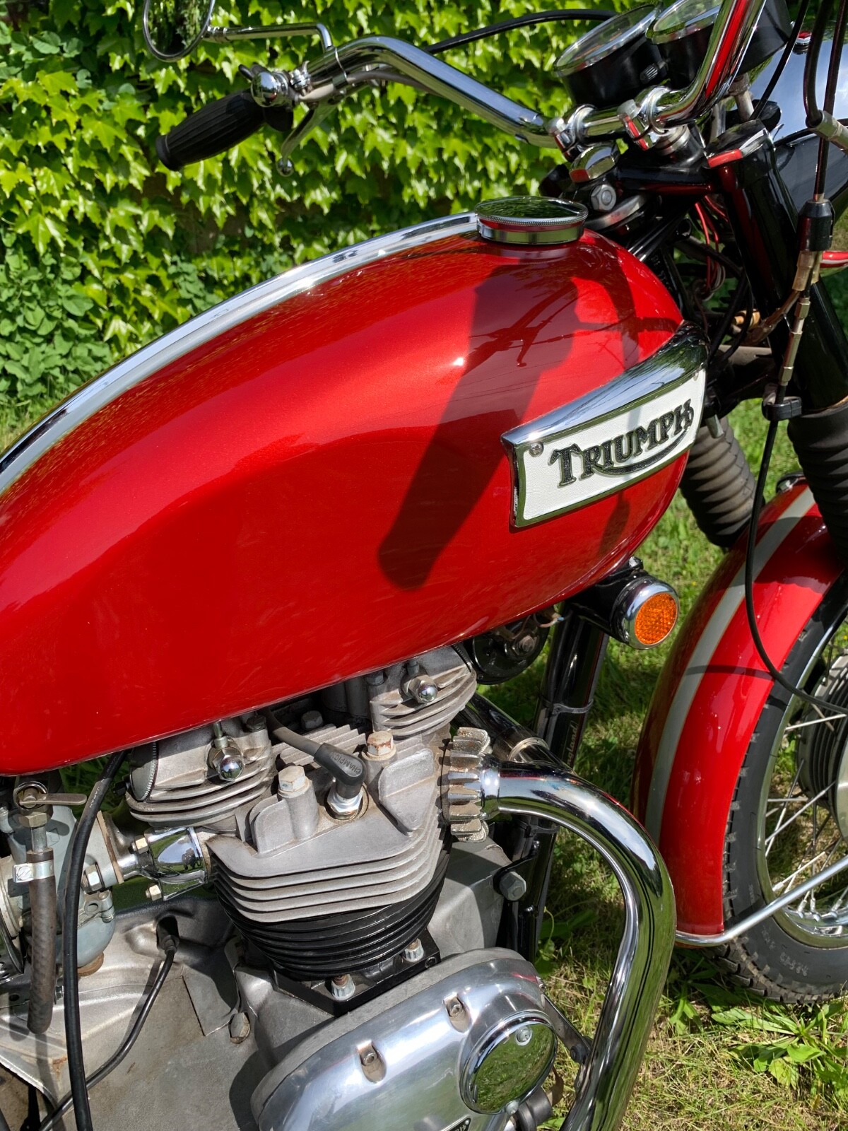 Triumph-Tiger-1969-1