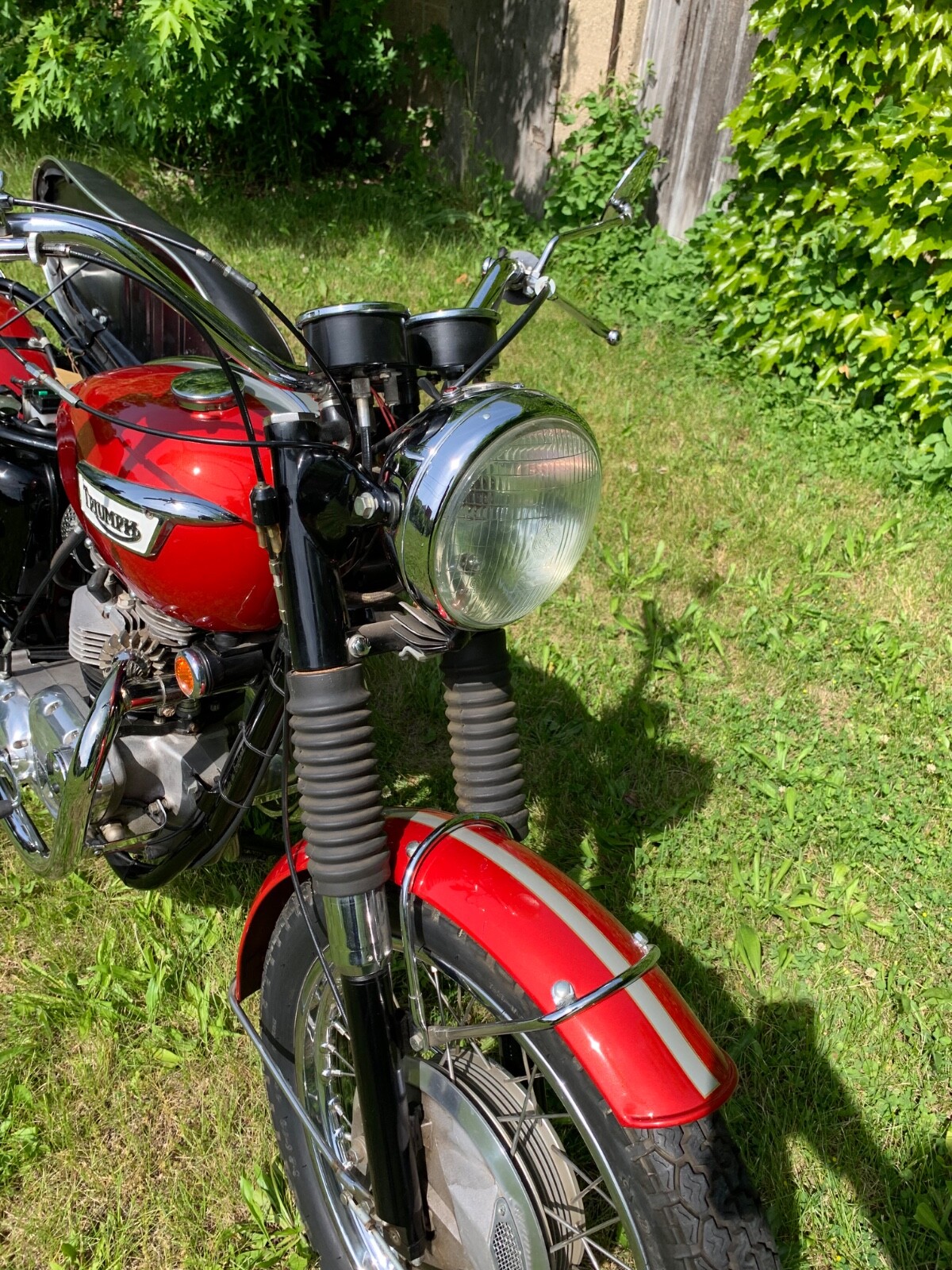 Triumph-Tiger-1969-13