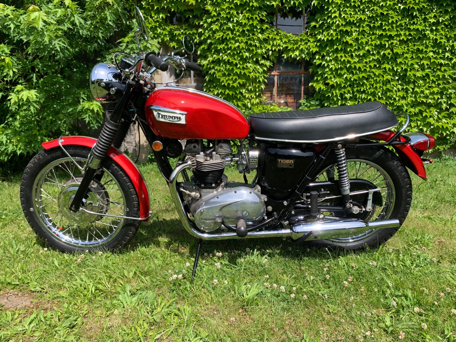 Triumph-Tiger-1969-15