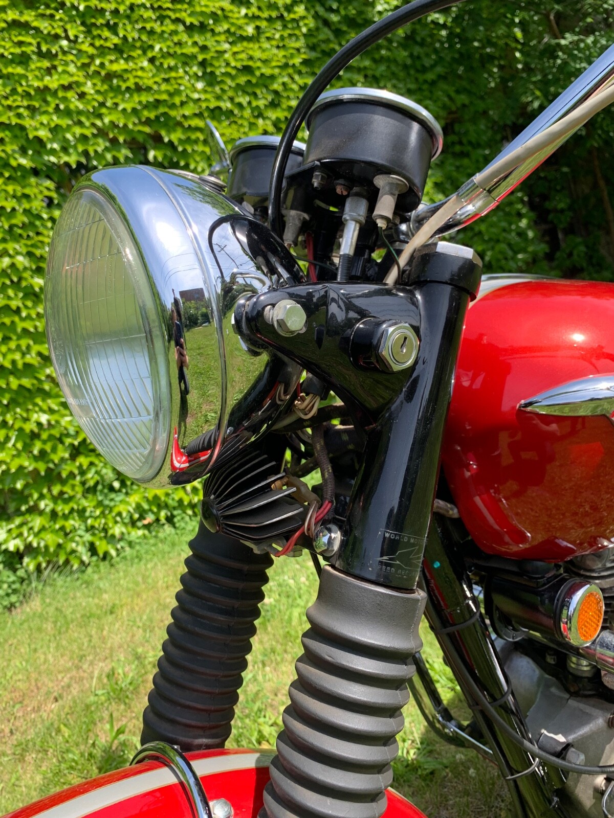 Triumph-Tiger-1969-16