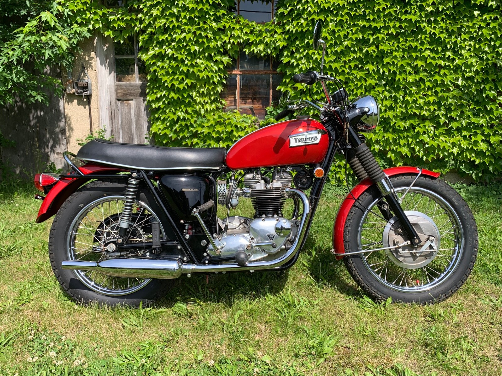 Triumph-Tiger-1969
