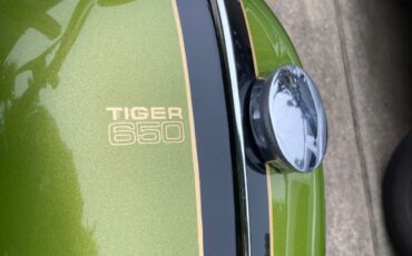 Triumph-Tiger-1970-11