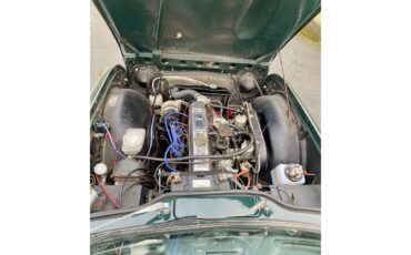 Triumph-Tr250-1968-Green-Tan-13