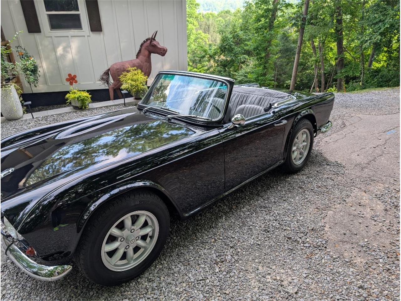 Triumph-Tr4-1964-New-Gloss-Black-pain-Light-grey-leather-5