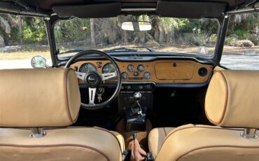Triumph-Tr6-1975-Maple-Brown-Tan-13