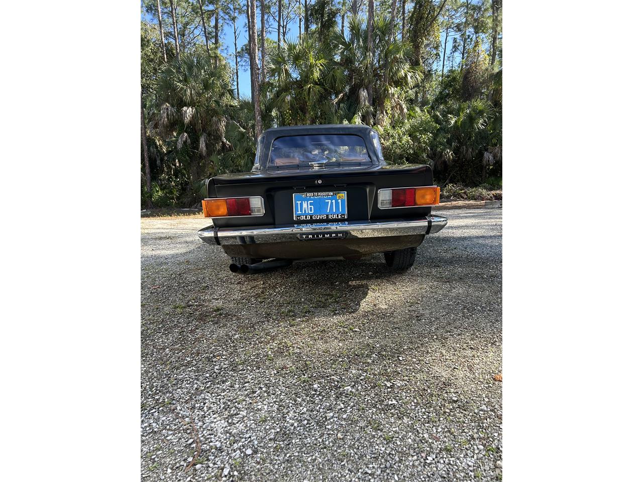Triumph-Tr6-1975-Maple-Brown-Tan-5