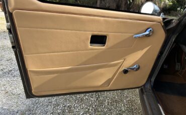 Triumph-Tr6-1975-Maple-Brown-Tan-7