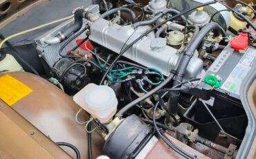 Triumph-tr6-1975-brown-1