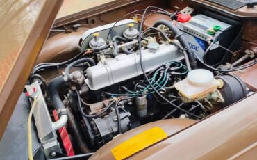 Triumph-tr6-1975-brown