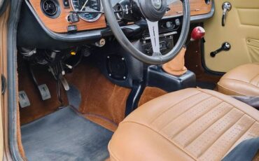 Triumph-tr6-1975-brown-4