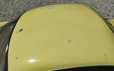 Volkswagen-1969-3