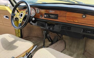 Volkswagen-1969-6