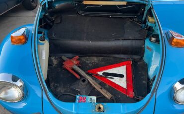 Volkswagen-1976-10