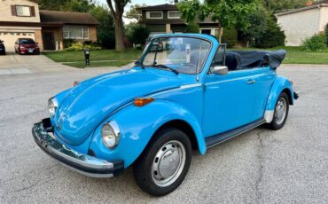 Volkswagen-1976-18