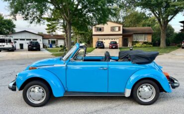 Volkswagen-1976-2