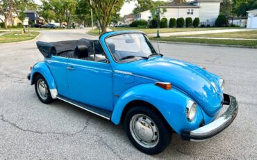 Volkswagen-1976-5