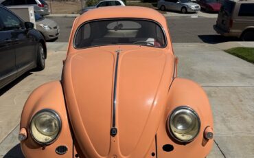 Volkswagen-Beetle-1957-1