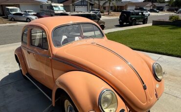 Volkswagen-Beetle-1957-2