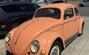 Volkswagen-Beetle-1957