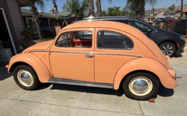 Volkswagen-Beetle-1957-5