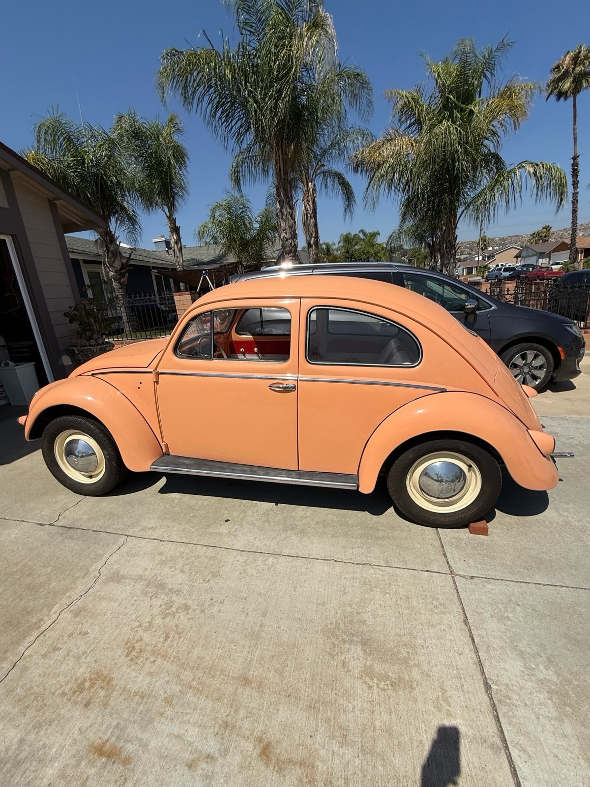 Volkswagen-Beetle-1957-5