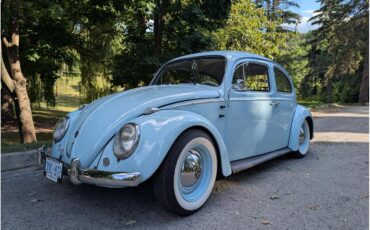 Volkswagen-Beetle-1960-Blue-Black-1