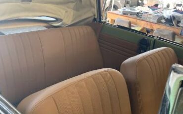 Volkswagen-Beetle-1960-Green