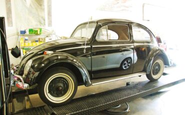Volkswagen-Beetle-1964-Black-Red-12