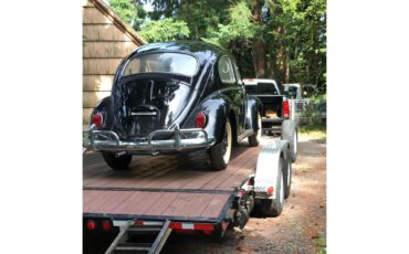 Volkswagen-Beetle-1964-Black-Red-3